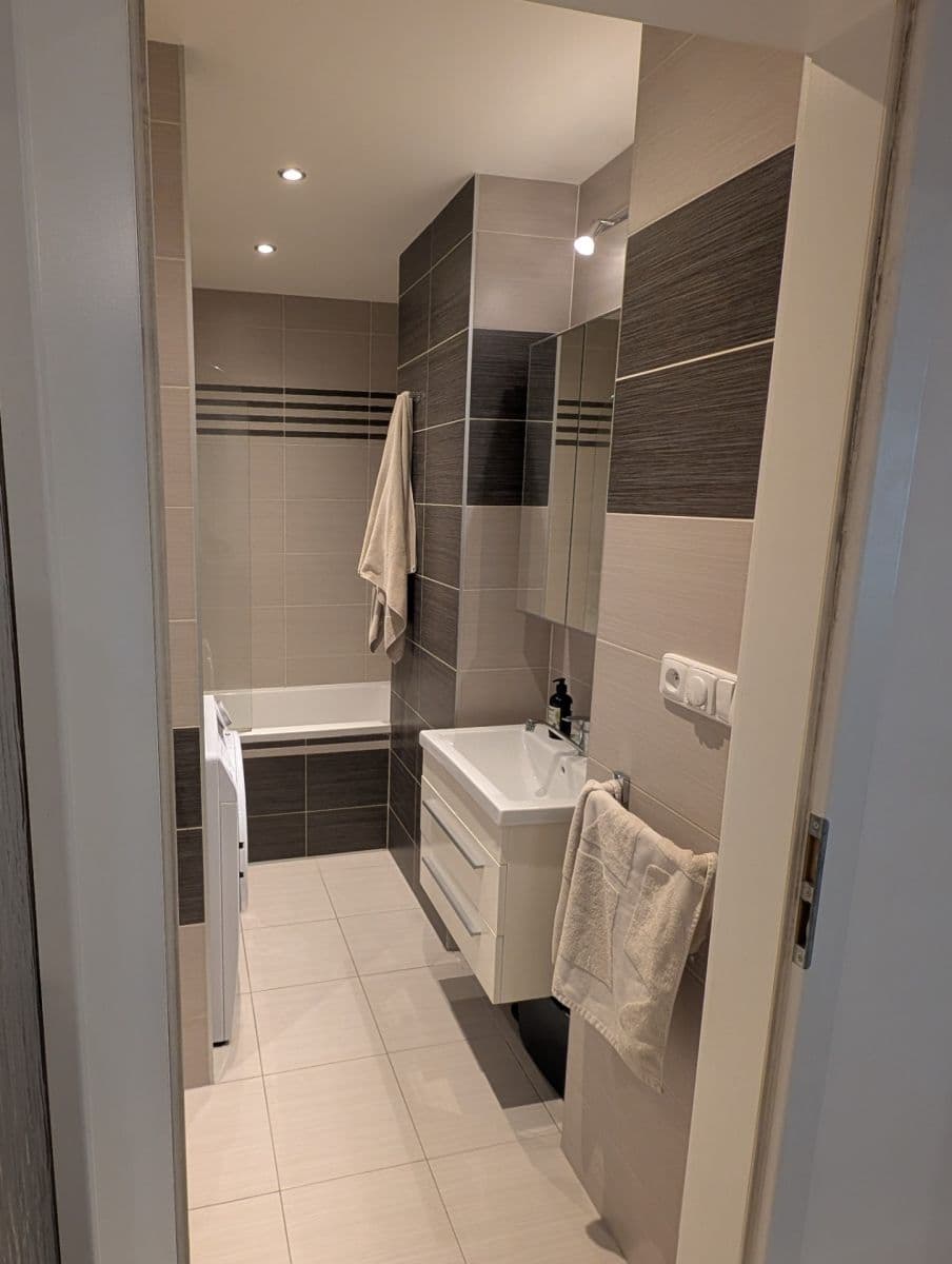 1 bedroom with open-plan kitchen flat to rent, 57 m², Vršovická, Prague, Prague 1 bedroom with open-plan kitchen flat to rent, 57 m², Vršovická, Prague, Prague