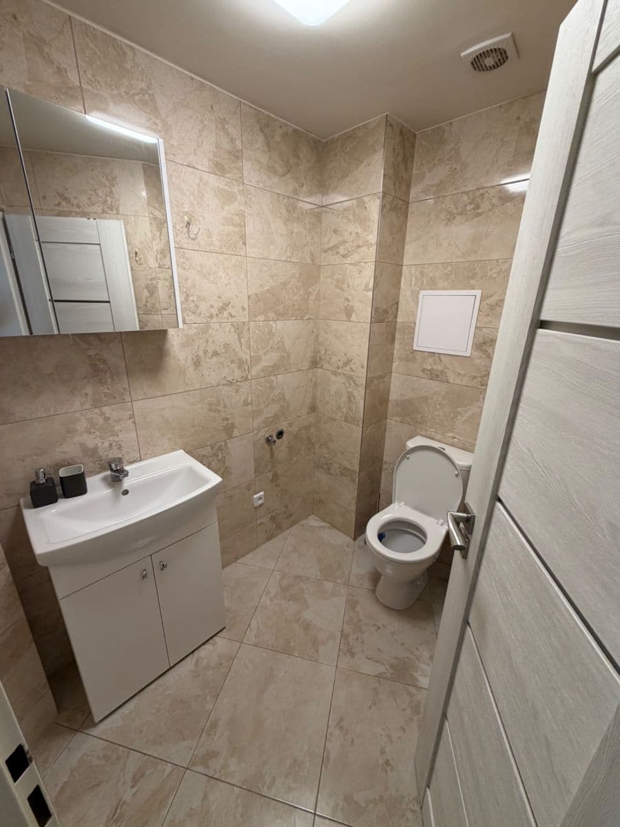 1 bedroom with open-plan kitchen flat to rent, 55 m², Chelčického, Prague, Prague 1 bedroom with open-plan kitchen flat to rent, 55 m², Chelčického, Prague, Prague