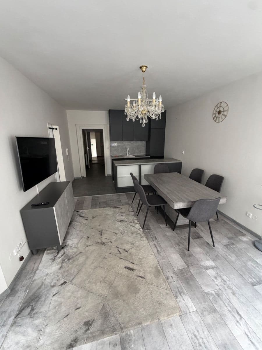 1 bedroom with open-plan kitchen flat to rent, 55 m², Chelčického, Prague, Prague 1 bedroom with open-plan kitchen flat to rent, 55 m², Chelčického, Prague, Prague