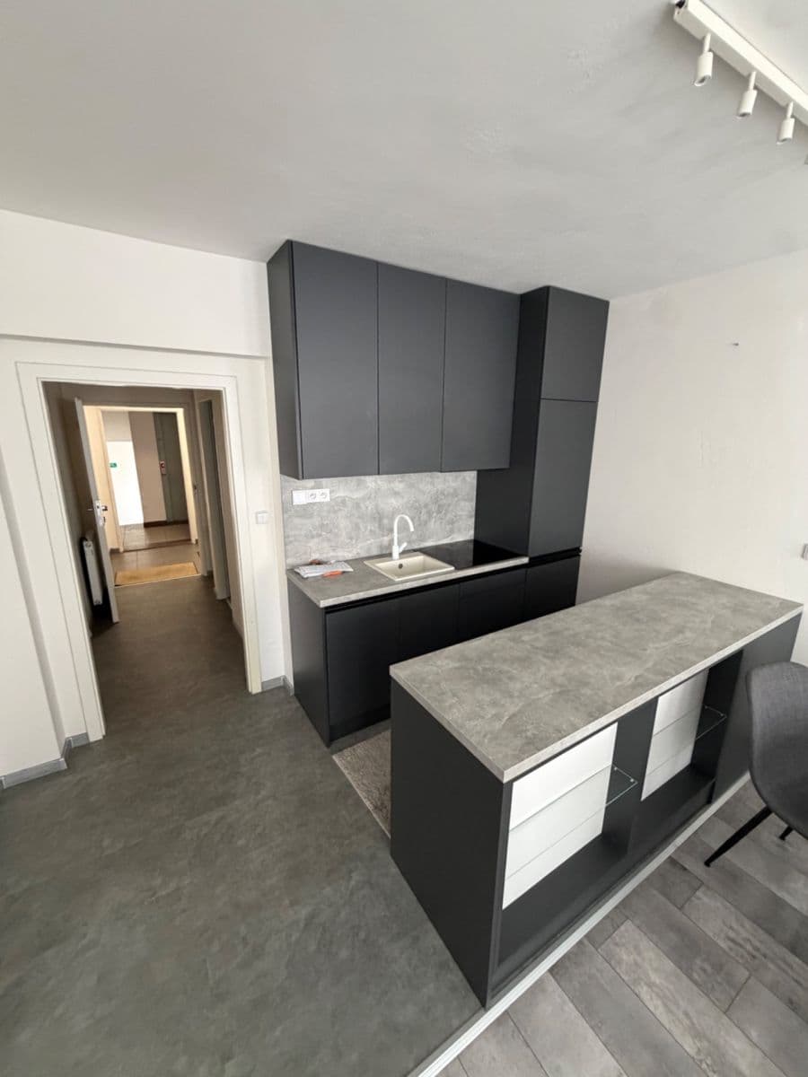 1 bedroom with open-plan kitchen flat to rent, 55 m², Chelčického, Prague, Prague 1 bedroom with open-plan kitchen flat to rent, 55 m², Chelčického, Prague, Prague