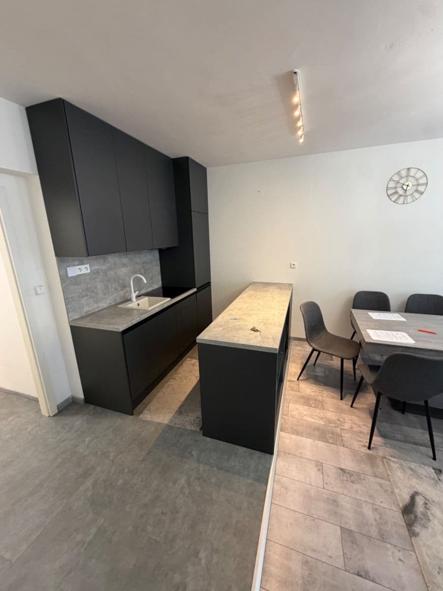 1 bedroom with open-plan kitchen flat to rent, 55 m², Chelčického, Prague, Prague 1 bedroom with open-plan kitchen flat to rent, 55 m², Chelčického, Prague, Prague