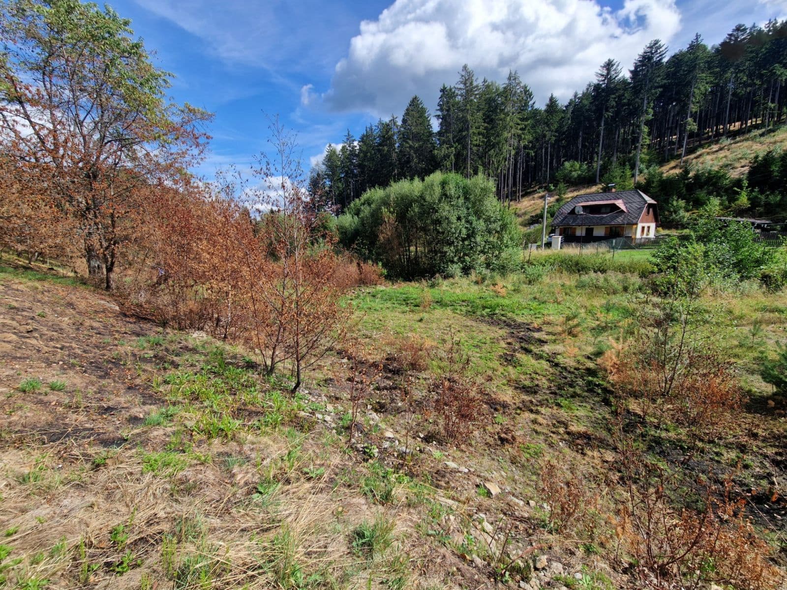 plot for sale, 15,955 m², Žihobce, Plzeňský Region plot for sale, 15,955 m², Žihobce, Plzeňský Region