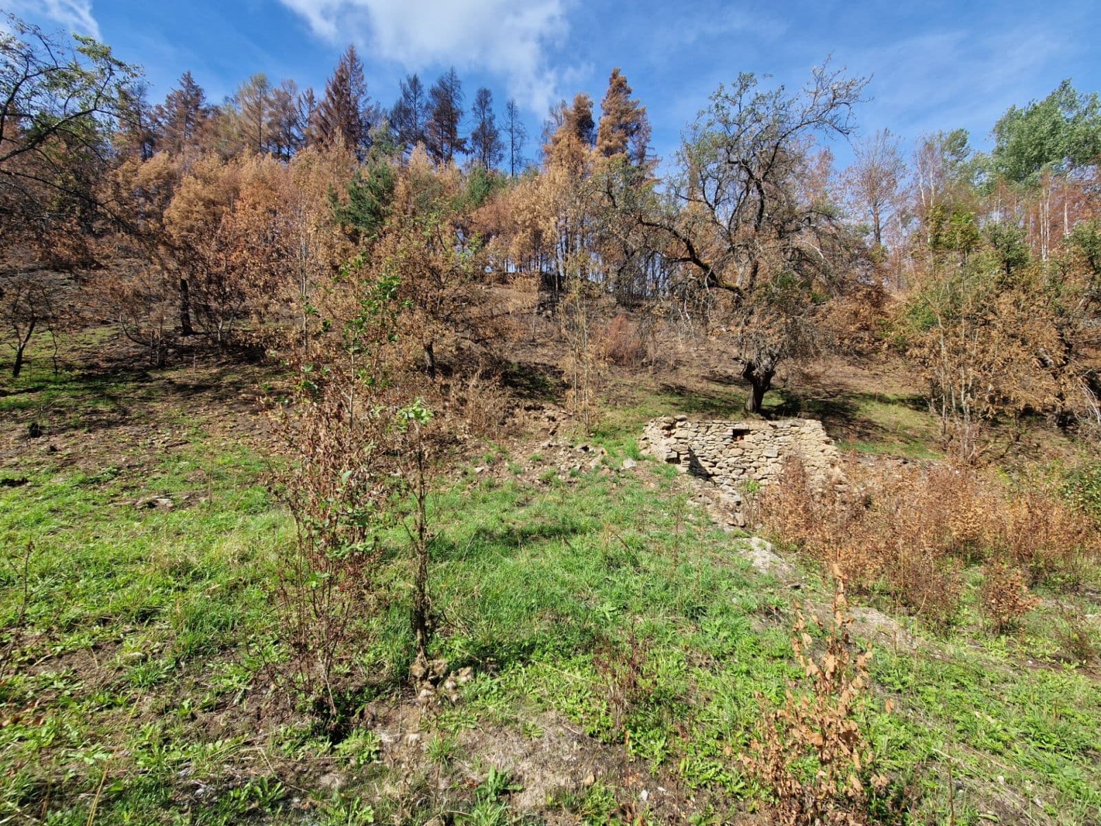 plot for sale, 15,955 m², Žihobce, Plzeňský Region plot for sale, 15,955 m², Žihobce, Plzeňský Region