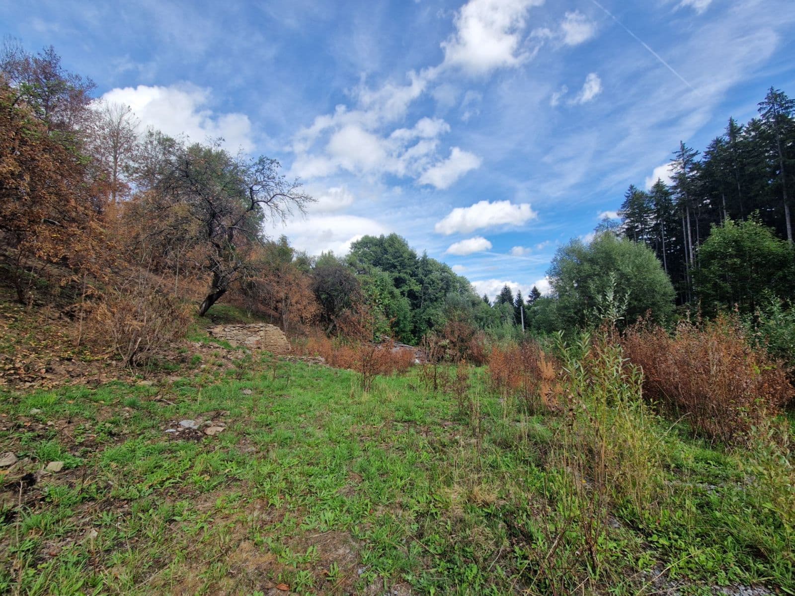 plot for sale, 15,955 m², Žihobce, Plzeňský Region plot for sale, 15,955 m², Žihobce, Plzeňský Region