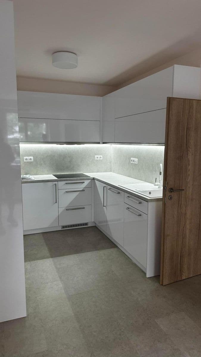 1 bedroom with open-plan kitchen flat to rent, 53 m², Křižíkova, Prague, Prague 1 bedroom with open-plan kitchen flat to rent, 53 m², Křižíkova, Prague, Prague