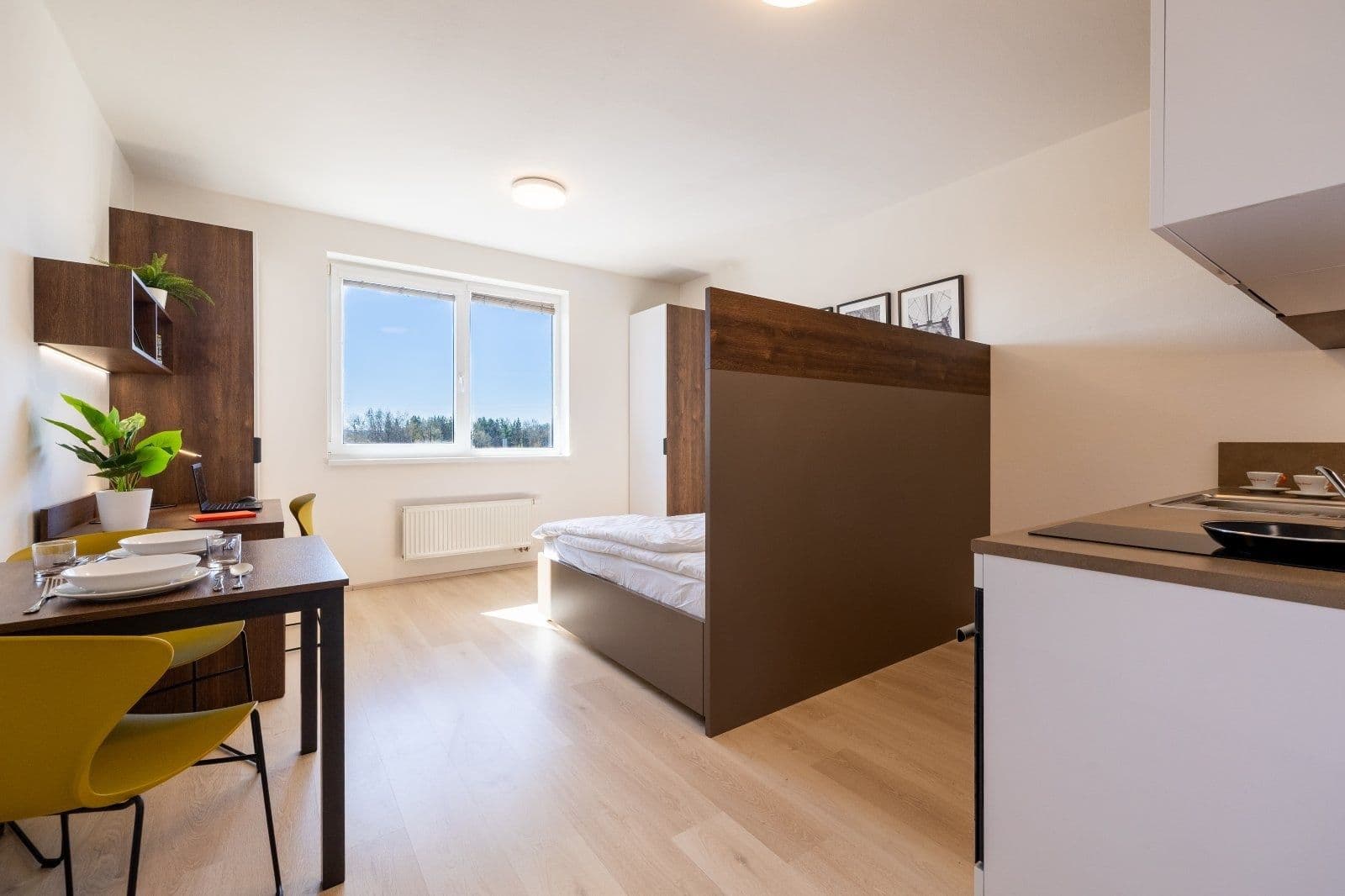 Studio flat to rent, 27 m², Magisterská, Plzeň, Plzeňský Region Studio flat to rent, 27 m², Magisterská, Plzeň, Plzeňský Region
