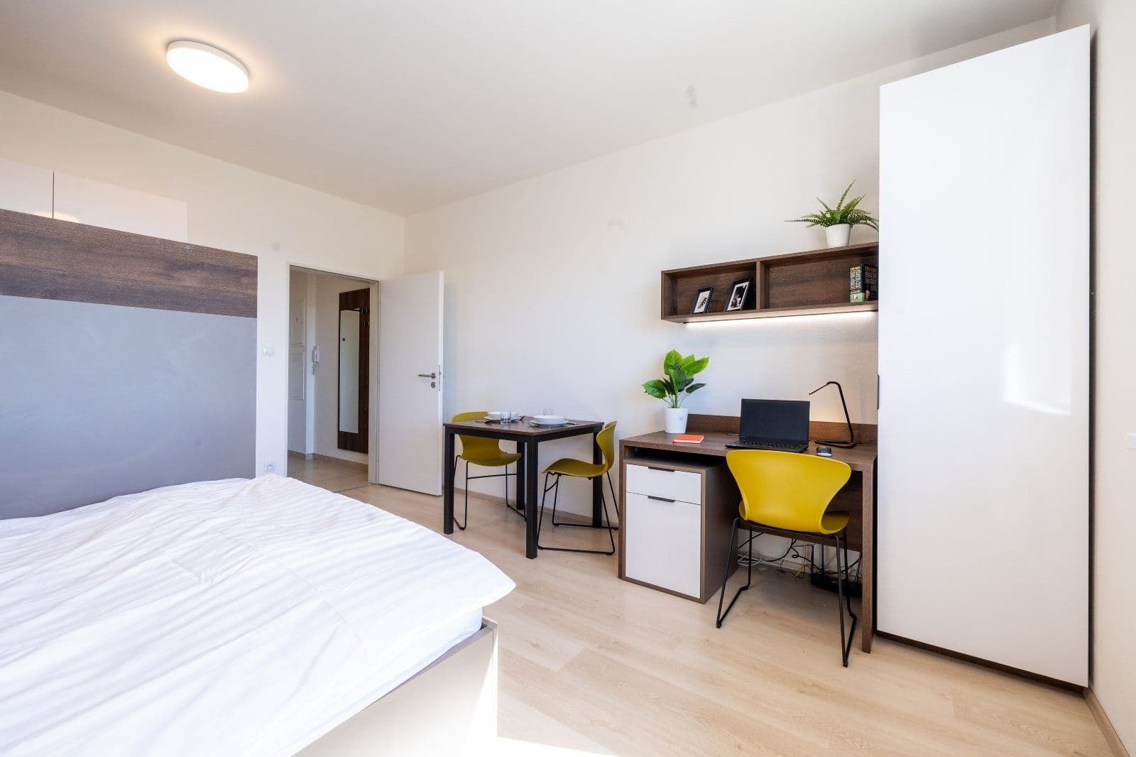 Studio flat to rent, 27 m², Magisterská, Plzeň, Plzeňský Region Studio flat to rent, 27 m², Magisterská, Plzeň, Plzeňský Region