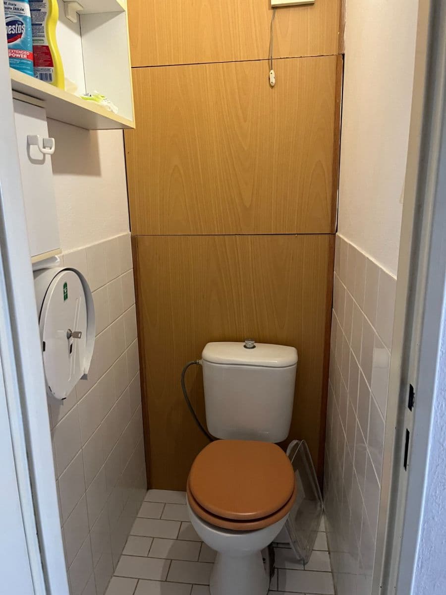1 bedroom with open-plan kitchen flat for sale, 45 m², Tatarkova, Prague, Prague 1 bedroom with open-plan kitchen flat for sale, 45 m², Tatarkova, Prague, Prague