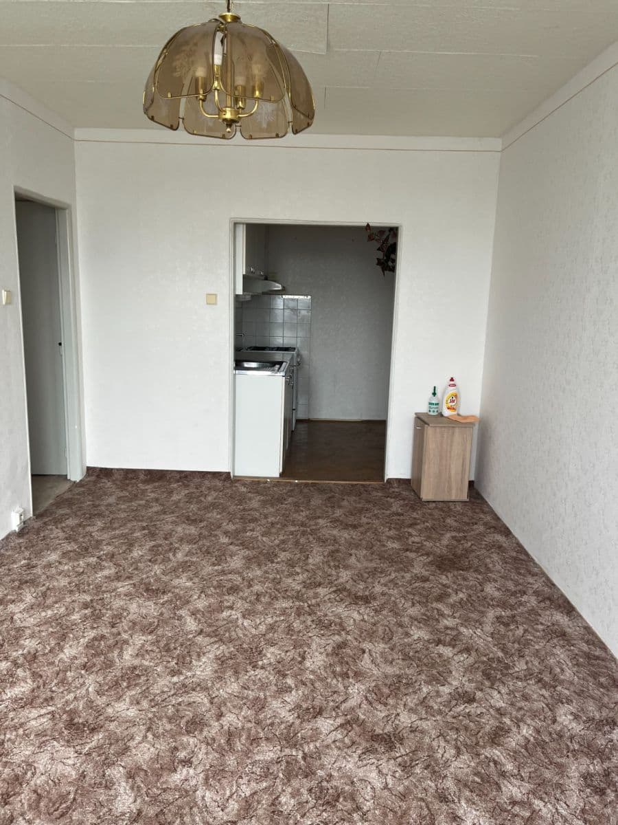 1 bedroom with open-plan kitchen flat for sale, 45 m², Tatarkova, Prague, Prague 1 bedroom with open-plan kitchen flat for sale, 45 m², Tatarkova, Prague, Prague