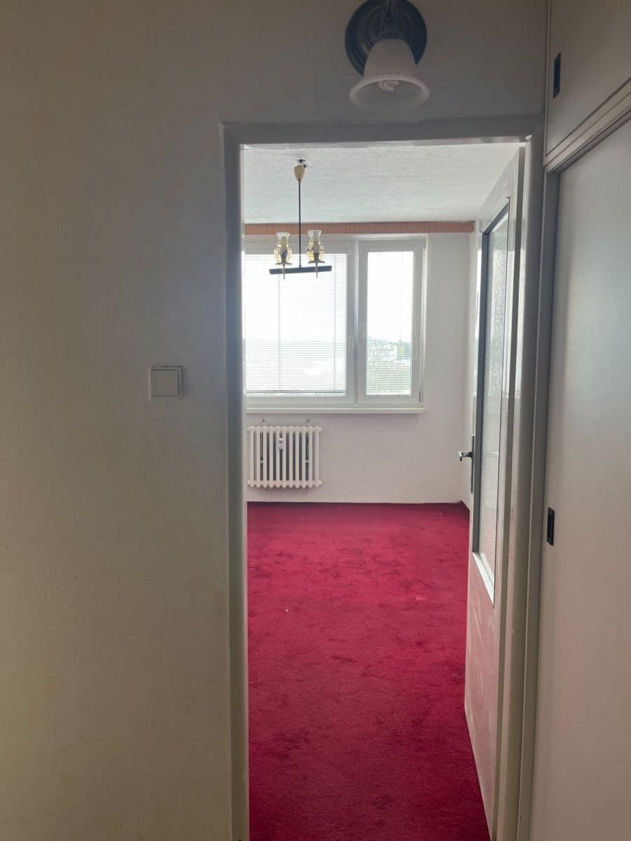 1 bedroom with open-plan kitchen flat for sale, 45 m², Tatarkova, Prague, Prague 1 bedroom with open-plan kitchen flat for sale, 45 m², Tatarkova, Prague, Prague