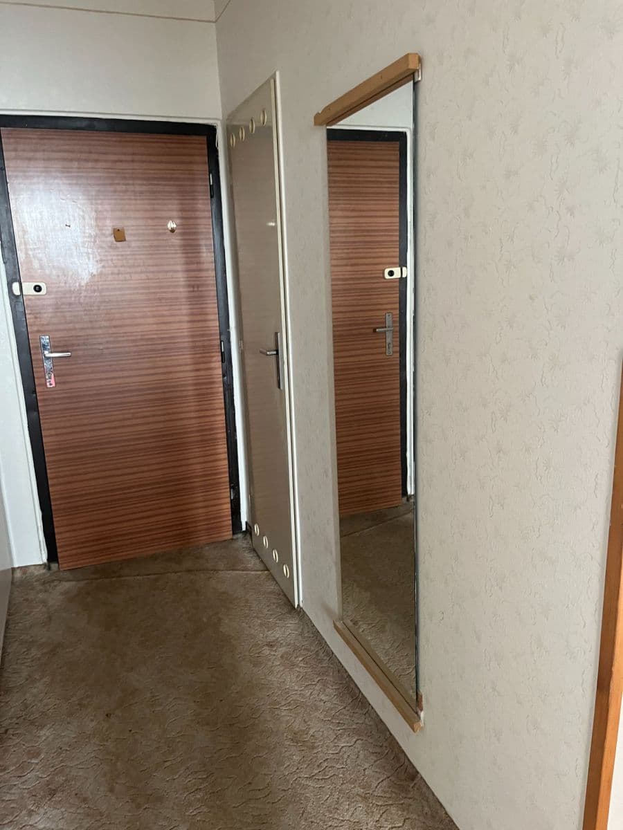1 bedroom with open-plan kitchen flat for sale, 45 m², Tatarkova, Prague, Prague 1 bedroom with open-plan kitchen flat for sale, 45 m², Tatarkova, Prague, Prague