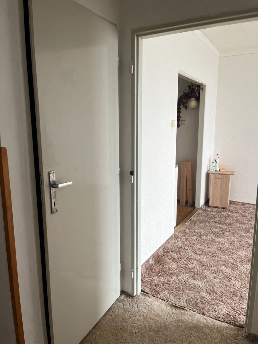 1 bedroom with open-plan kitchen flat for sale, 45 m², Tatarkova, Prague, Prague 1 bedroom with open-plan kitchen flat for sale, 45 m², Tatarkova, Prague, Prague