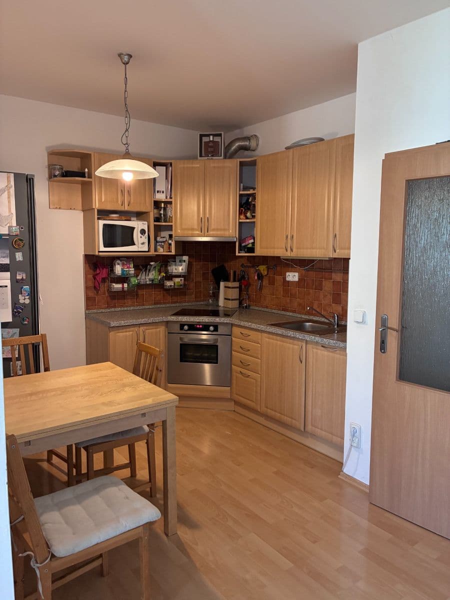1 bedroom with open-plan kitchen flat to rent, 65 m², Kudrnova, Prague, Prague 1 bedroom with open-plan kitchen flat to rent, 65 m², Kudrnova, Prague, Prague