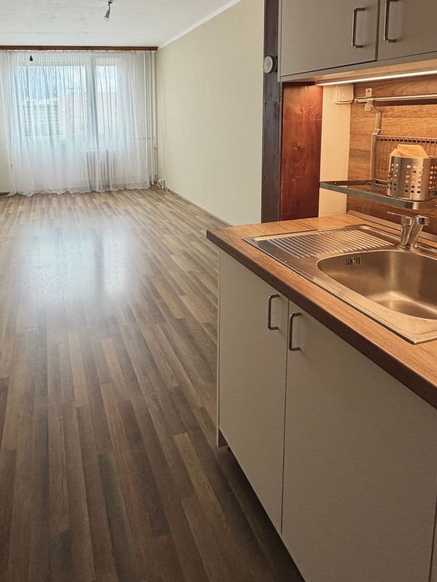 1 bedroom with open-plan kitchen flat for sale, 43 m², Podjavorinské, Prague, Prague 1 bedroom with open-plan kitchen flat for sale, 43 m², Podjavorinské, Prague, Prague