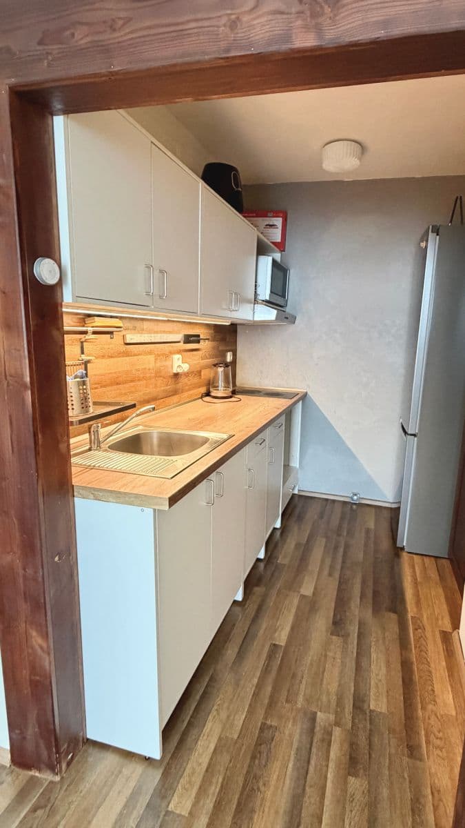 1 bedroom with open-plan kitchen flat for sale, 43 m², Podjavorinské, Prague, Prague 1 bedroom with open-plan kitchen flat for sale, 43 m², Podjavorinské, Prague, Prague