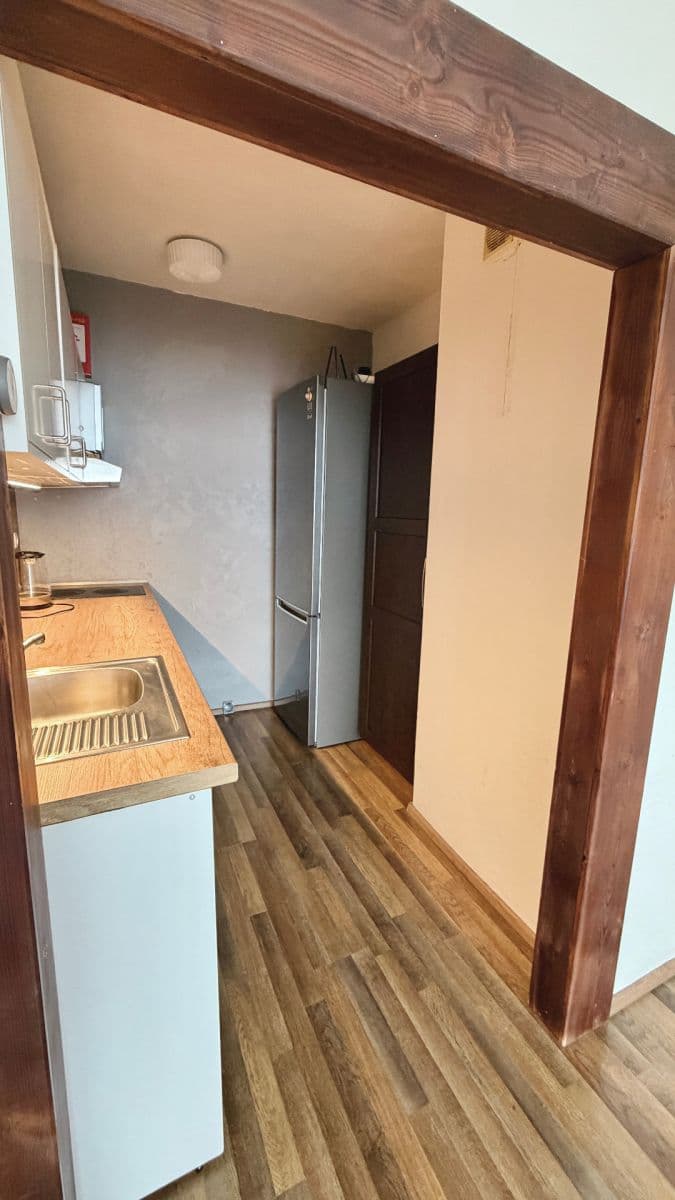 1 bedroom with open-plan kitchen flat for sale, 43 m², Podjavorinské, Prague, Prague 1 bedroom with open-plan kitchen flat for sale, 43 m², Podjavorinské, Prague, Prague