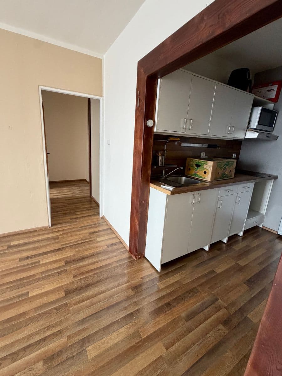 1 bedroom with open-plan kitchen flat for sale, 43 m², Podjavorinské, Prague, Prague 1 bedroom with open-plan kitchen flat for sale, 43 m², Podjavorinské, Prague, Prague