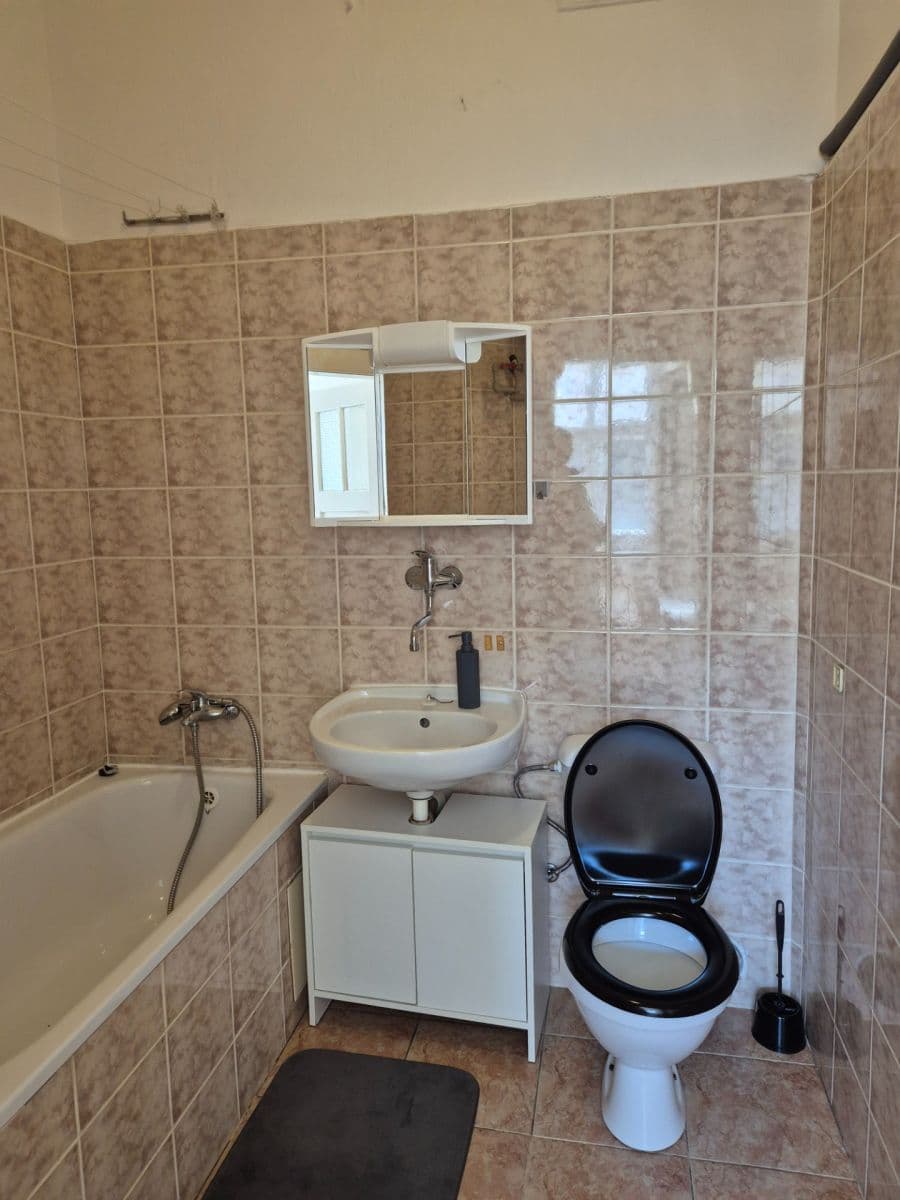 1 bedroom with open-plan kitchen flat to rent, 40 m², 5. května, Prague, Prague 1 bedroom with open-plan kitchen flat to rent, 40 m², 5. května, Prague, Prague