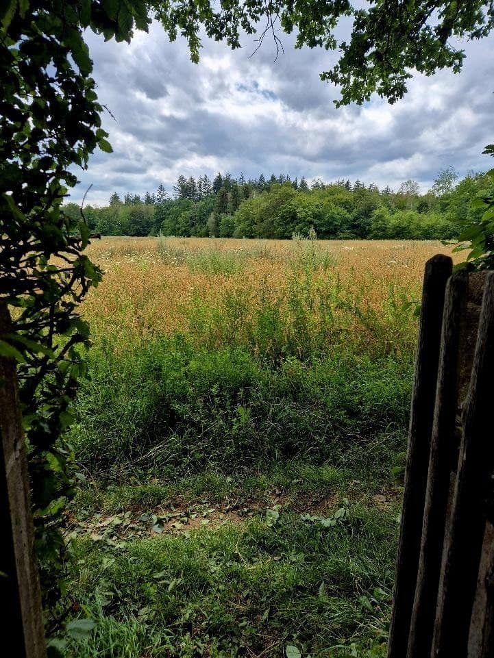 plot for sale, 1,191 m², Gräfelfing, Bavaria plot for sale, 1,191 m², Gräfelfing, Bavaria