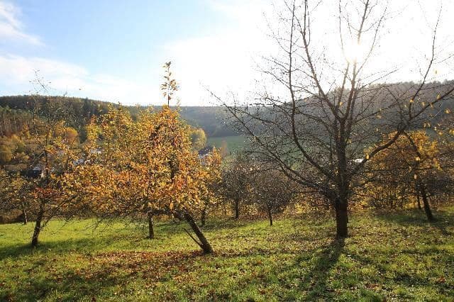 plot for sale, 3,398 m², Breuberg, Hesse plot for sale, 3,398 m², Breuberg, Hesse