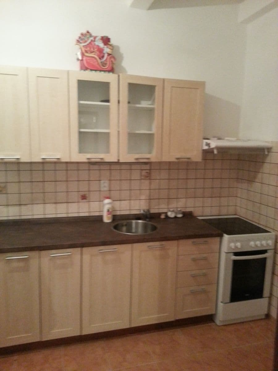 1 bedroom with open-plan kitchen flat to rent, 48 m², Zelinářská, Prague, Prague 1 bedroom with open-plan kitchen flat to rent, 48 m², Zelinářská, Prague, Prague