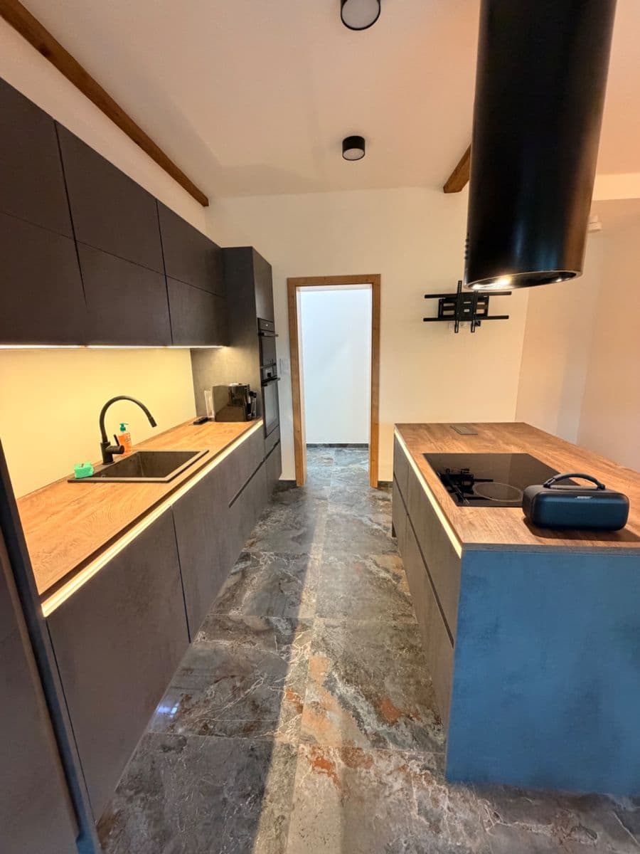 1 bedroom with open-plan kitchen flat to rent, 60 m², Pod Fialkou, Prague, Prague 1 bedroom with open-plan kitchen flat to rent, 60 m², Pod Fialkou, Prague, Prague