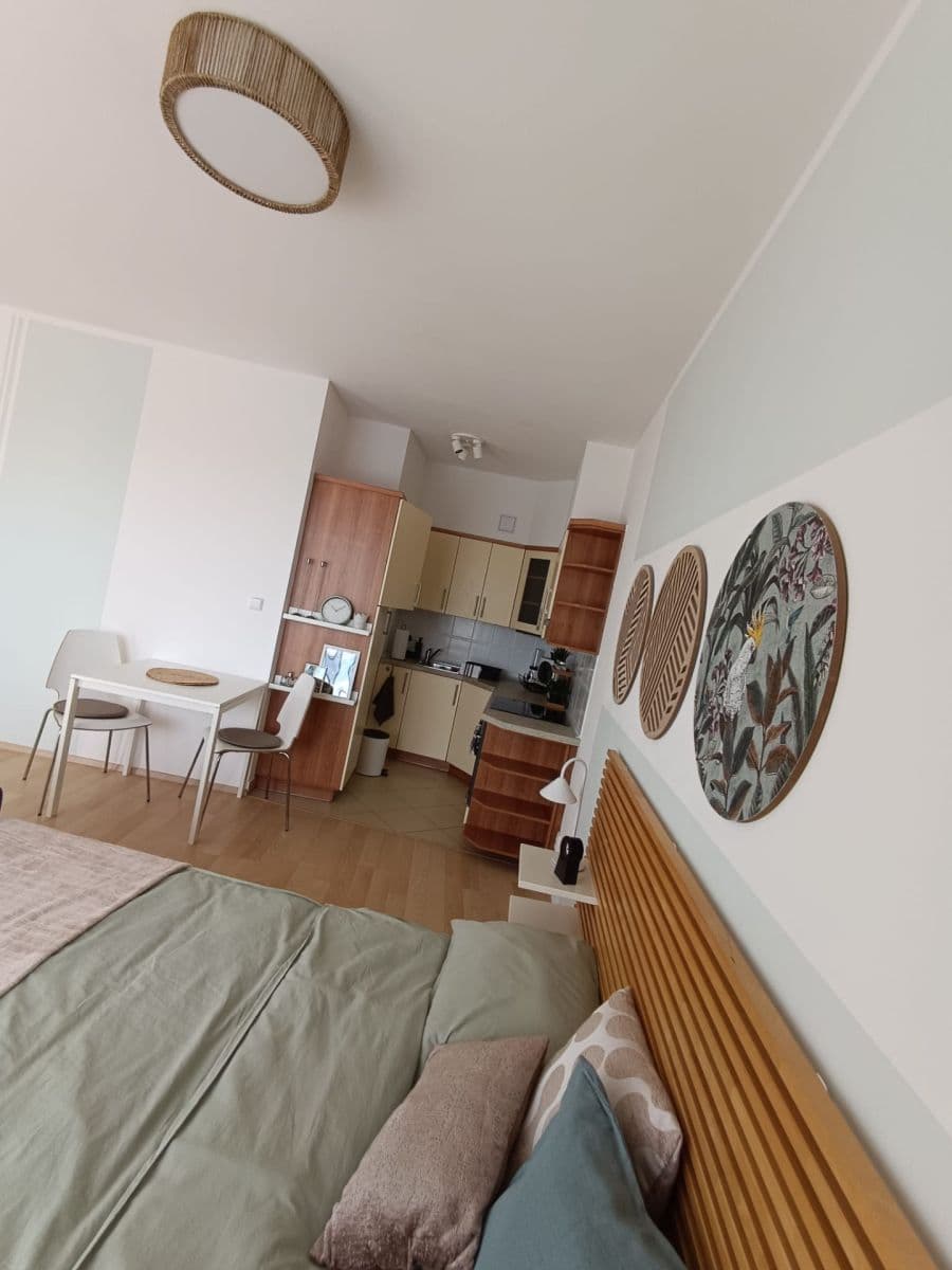 Studio flat to rent, 45 m², Nademlejnská, Prague, Prague Studio flat to rent, 45 m², Nademlejnská, Prague, Prague