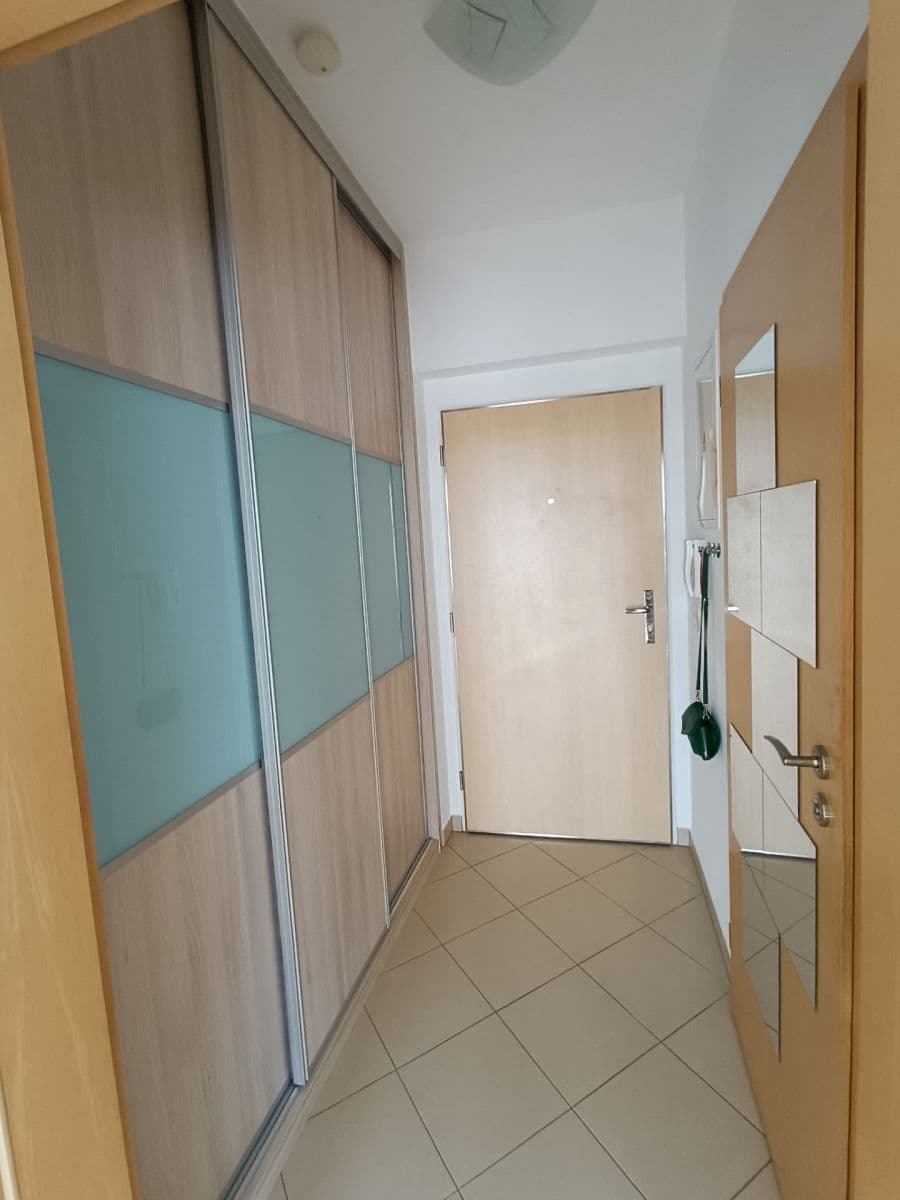 Studio flat to rent, 45 m², Nademlejnská, Prague, Prague Studio flat to rent, 45 m², Nademlejnská, Prague, Prague