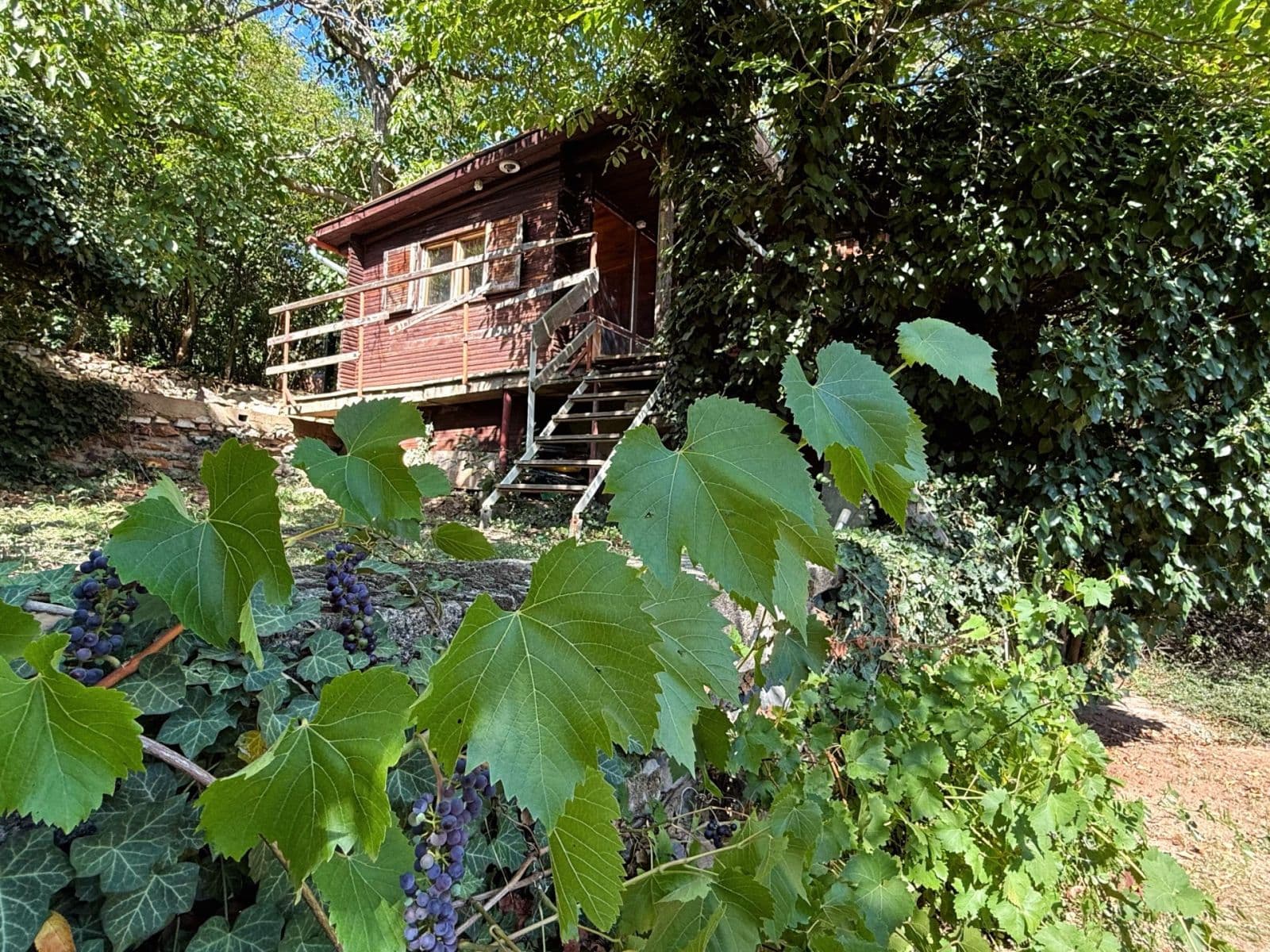 recreational property for sale, 525 m², Prague, Prague recreational property for sale, 525 m², Prague, Prague