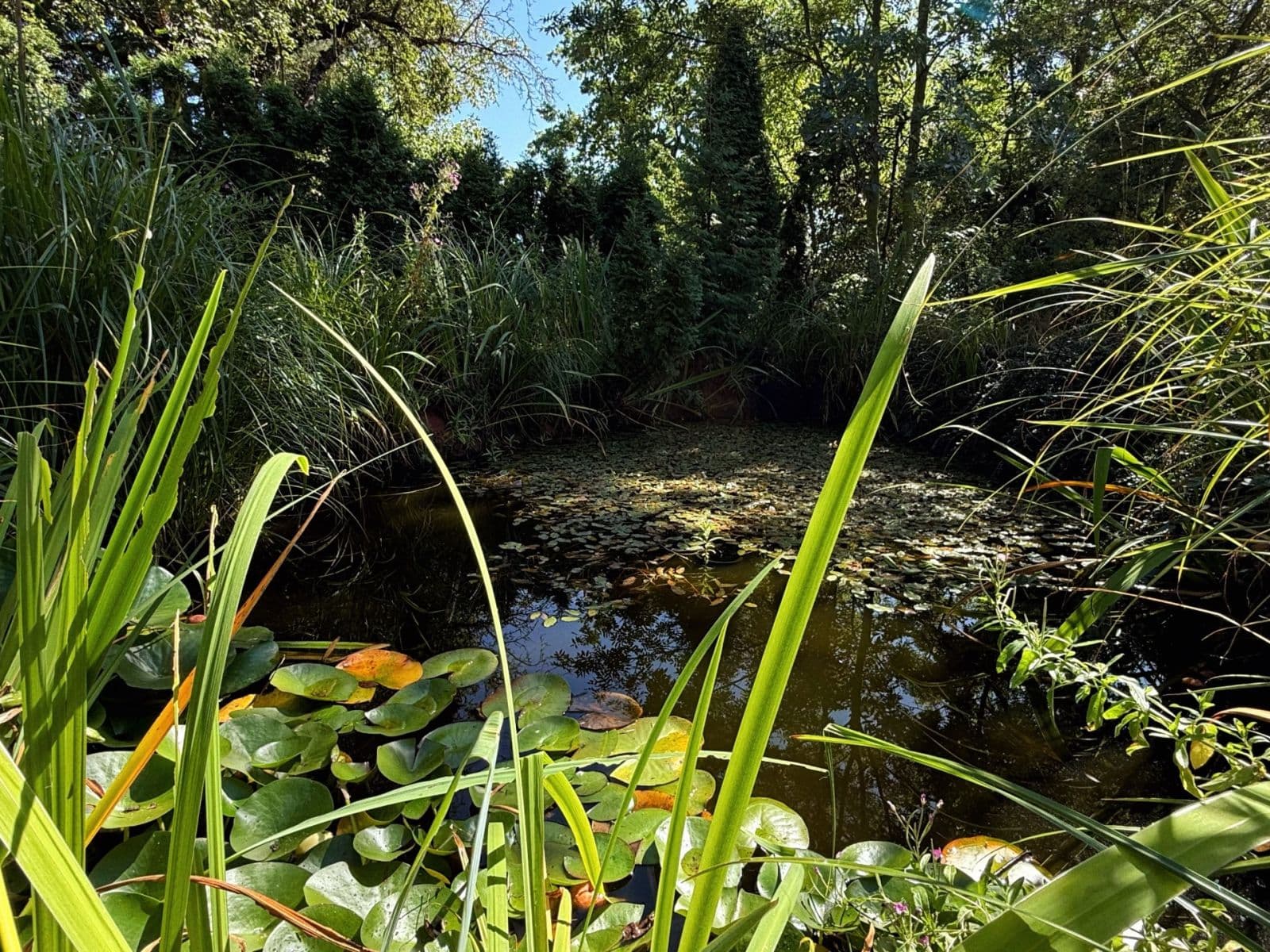 recreational property for sale, 525 m², Prague, Prague recreational property for sale, 525 m², Prague, Prague