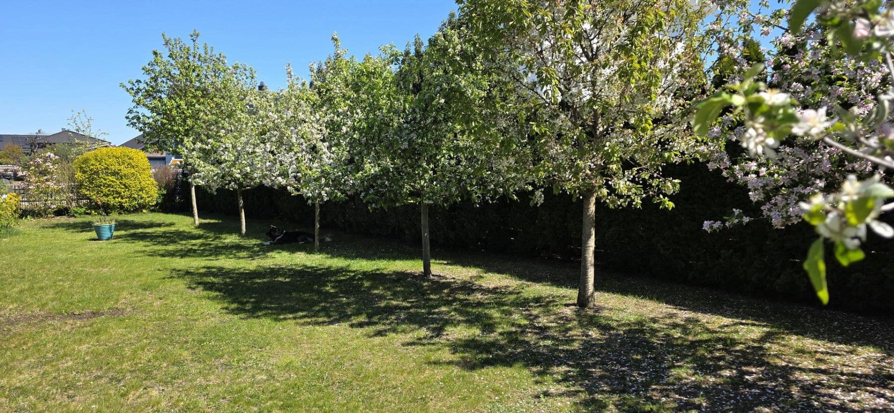 house for sale, 242 m², Riede, Lower Saxony house for sale, 242 m², Riede, Lower Saxony