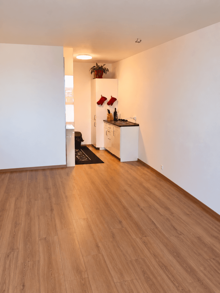 1 bedroom with open-plan kitchen flat to rent, 50 m², Milánská, Prague, Prague 1 bedroom with open-plan kitchen flat to rent, 50 m², Milánská, Prague, Prague