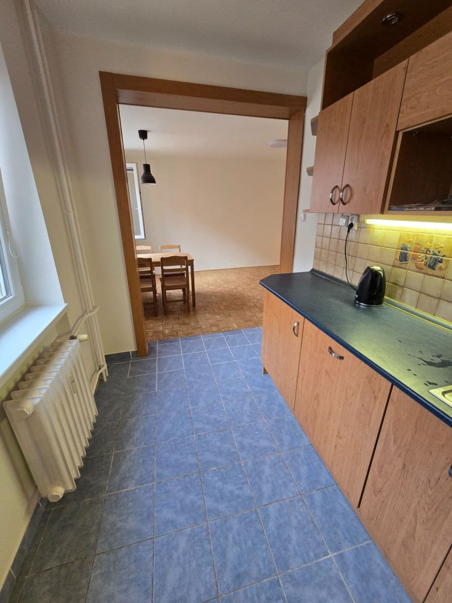 1 bedroom with open-plan kitchen flat to rent, 51 m², Lihovarská, Prague, Prague 1 bedroom with open-plan kitchen flat to rent, 51 m², Lihovarská, Prague, Prague