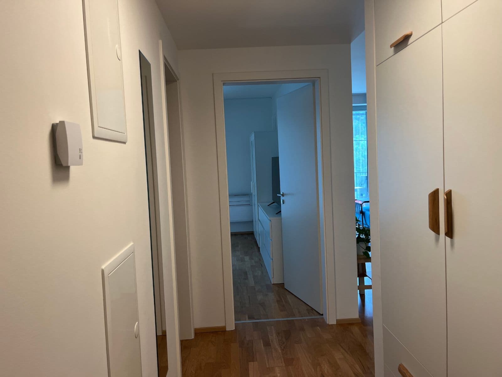 1 bedroom with open-plan kitchen flat to rent, 72 m², Mezi Vodami, Prague, Prague 1 bedroom with open-plan kitchen flat to rent, 72 m², Mezi Vodami, Prague, Prague