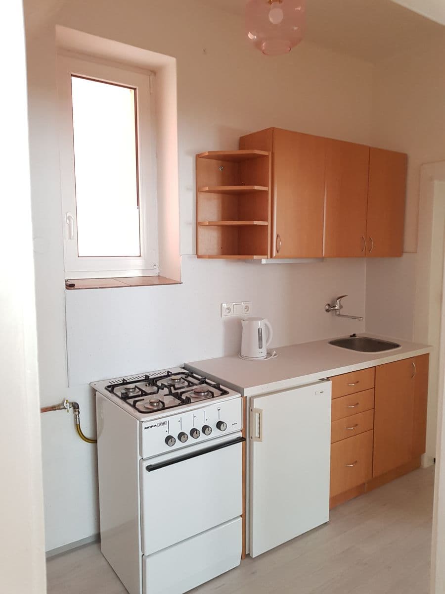 1 bedroom with open-plan kitchen flat to rent, 47 m², Viklefova, Prague, Prague 1 bedroom with open-plan kitchen flat to rent, 47 m², Viklefova, Prague, Prague
