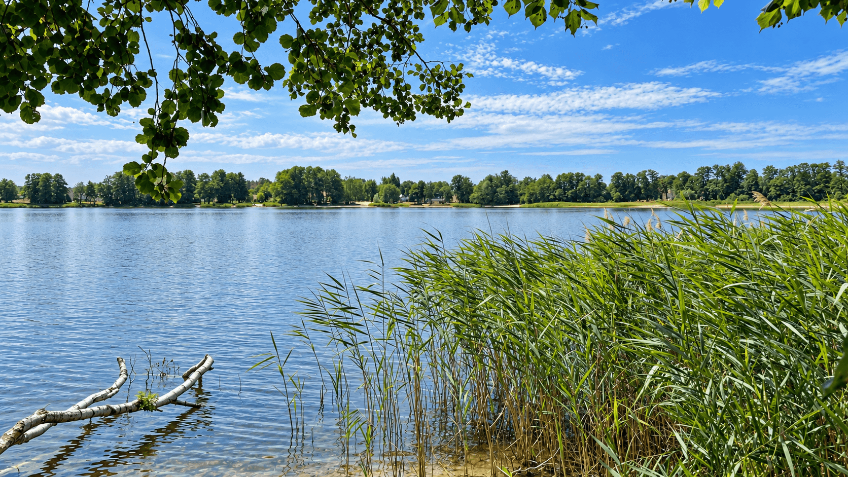 plot for sale, 1,438 m², Michendorf, Brandenburg plot for sale, 1,438 m², Michendorf, Brandenburg