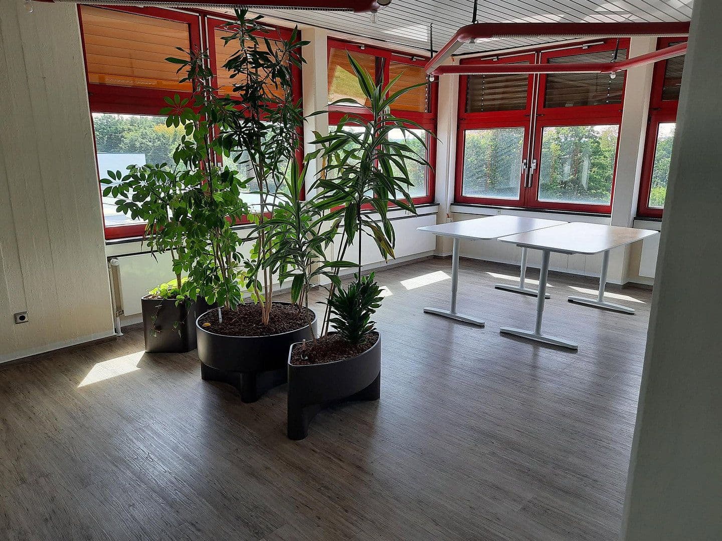 office to rent, 320 m², Bühlinger Strassse 56, Neustadt (Wied), Rhineland-Palatinate office to rent, 320 m², Bühlinger Strassse 56, Neustadt (Wied), Rhineland-Palatinate