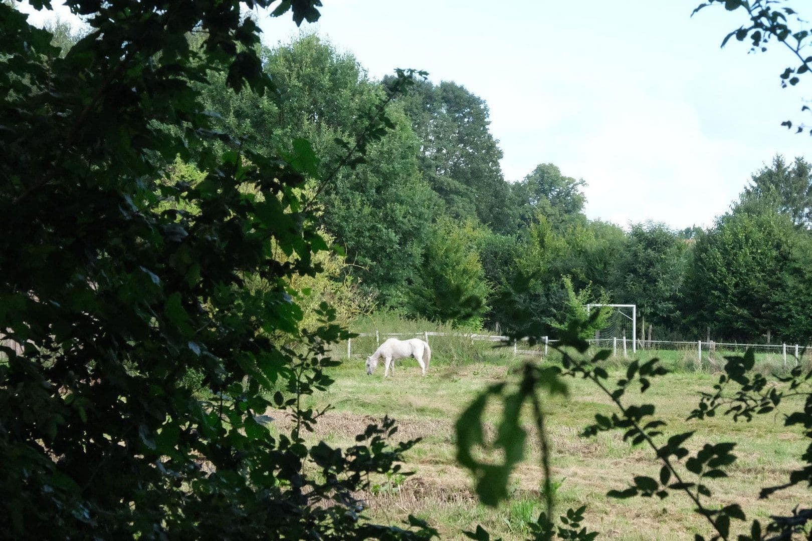 plot for sale, 857 m², Eschenweg, Lüdersburg, Lower Saxony plot for sale, 857 m², Eschenweg, Lüdersburg, Lower Saxony