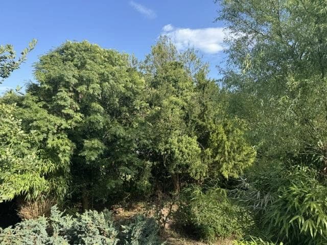 house for sale, 320 m², Essen, North Rhine-Westphalia house for sale, 320 m², Essen, North Rhine-Westphalia