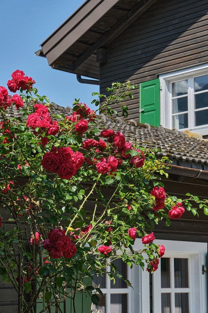 house for sale, 271 m², Schruns, Vorarlberg house for sale, 271 m², Schruns, Vorarlberg
