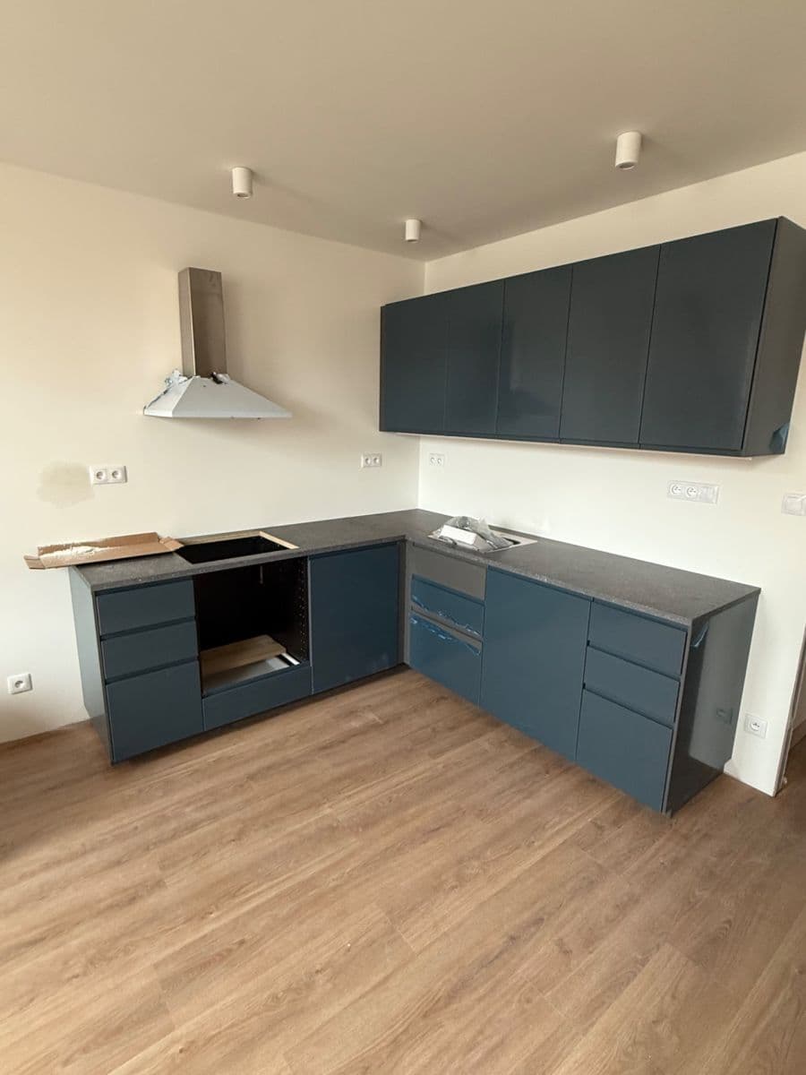 1 bedroom with open-plan kitchen flat to rent, 85 m², Chodská, Prague, Prague 1 bedroom with open-plan kitchen flat to rent, 85 m², Chodská, Prague, Prague