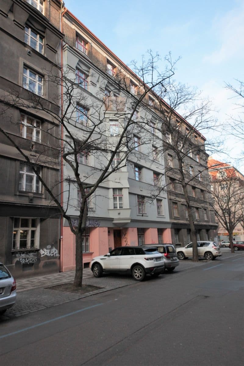 1 bedroom with open-plan kitchen flat to rent, 65 m², Křížkovského, Prague, Prague 1 bedroom with open-plan kitchen flat to rent, 65 m², Křížkovského, Prague, Prague