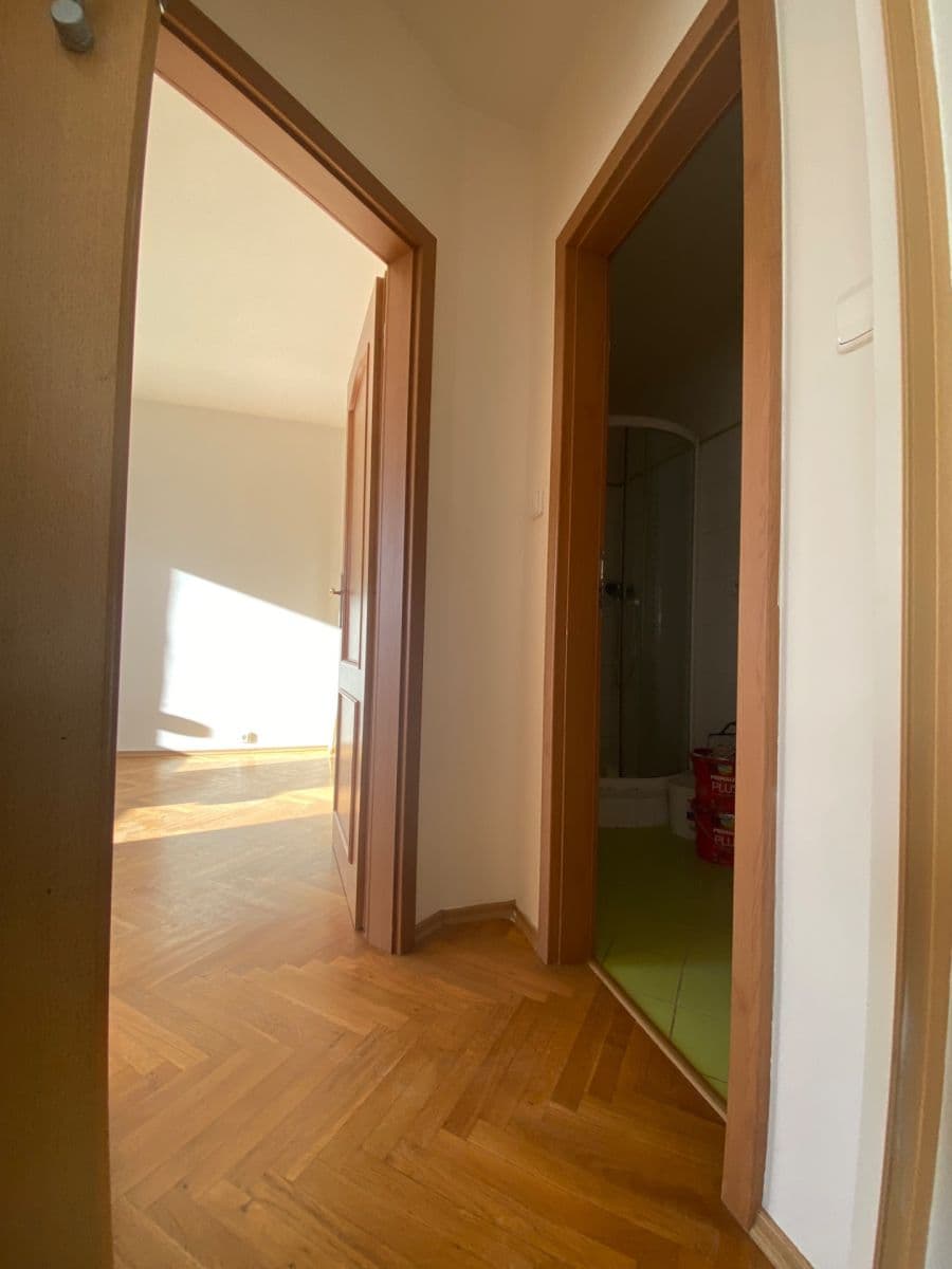 1 bedroom with open-plan kitchen flat for sale, 53 m², Záběhlická, Prague, Prague 1 bedroom with open-plan kitchen flat for sale, 53 m², Záběhlická, Prague, Prague