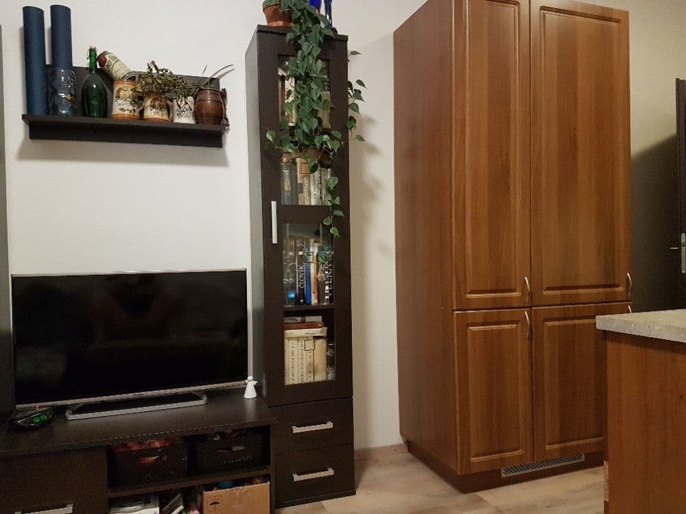 1 bedroom with open-plan kitchen flat to rent, 44 m², Holandská, Prague, Prague 1 bedroom with open-plan kitchen flat to rent, 44 m², Holandská, Prague, Prague