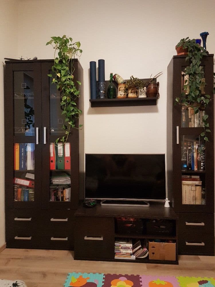 1 bedroom with open-plan kitchen flat to rent, 44 m², Holandská, Prague, Prague 1 bedroom with open-plan kitchen flat to rent, 44 m², Holandská, Prague, Prague