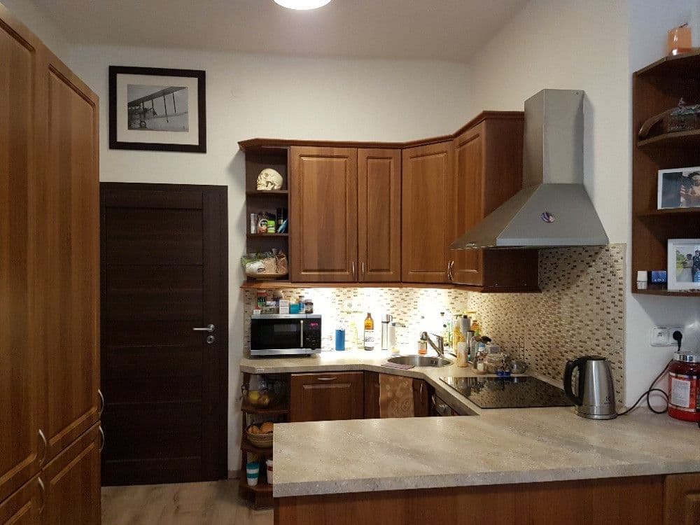 1 bedroom with open-plan kitchen flat to rent, 44 m², Holandská, Prague, Prague 1 bedroom with open-plan kitchen flat to rent, 44 m², Holandská, Prague, Prague