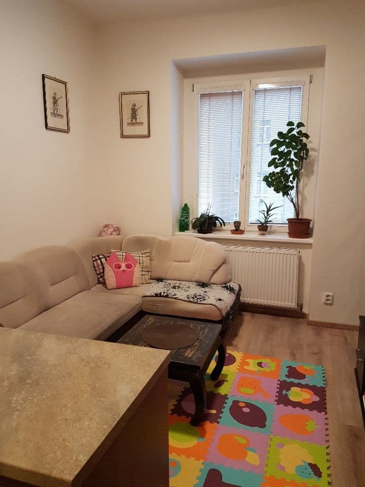 1 bedroom with open-plan kitchen flat to rent, 44 m², Holandská, Prague, Prague 1 bedroom with open-plan kitchen flat to rent, 44 m², Holandská, Prague, Prague