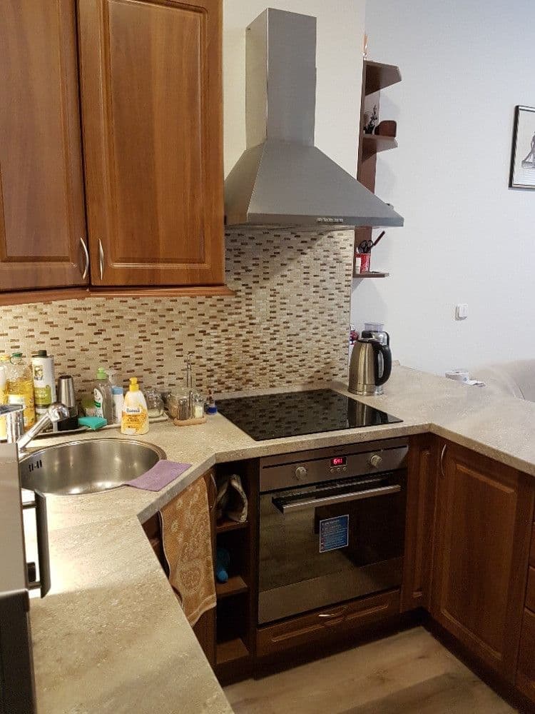 1 bedroom with open-plan kitchen flat to rent, 44 m², Holandská, Prague, Prague 1 bedroom with open-plan kitchen flat to rent, 44 m², Holandská, Prague, Prague