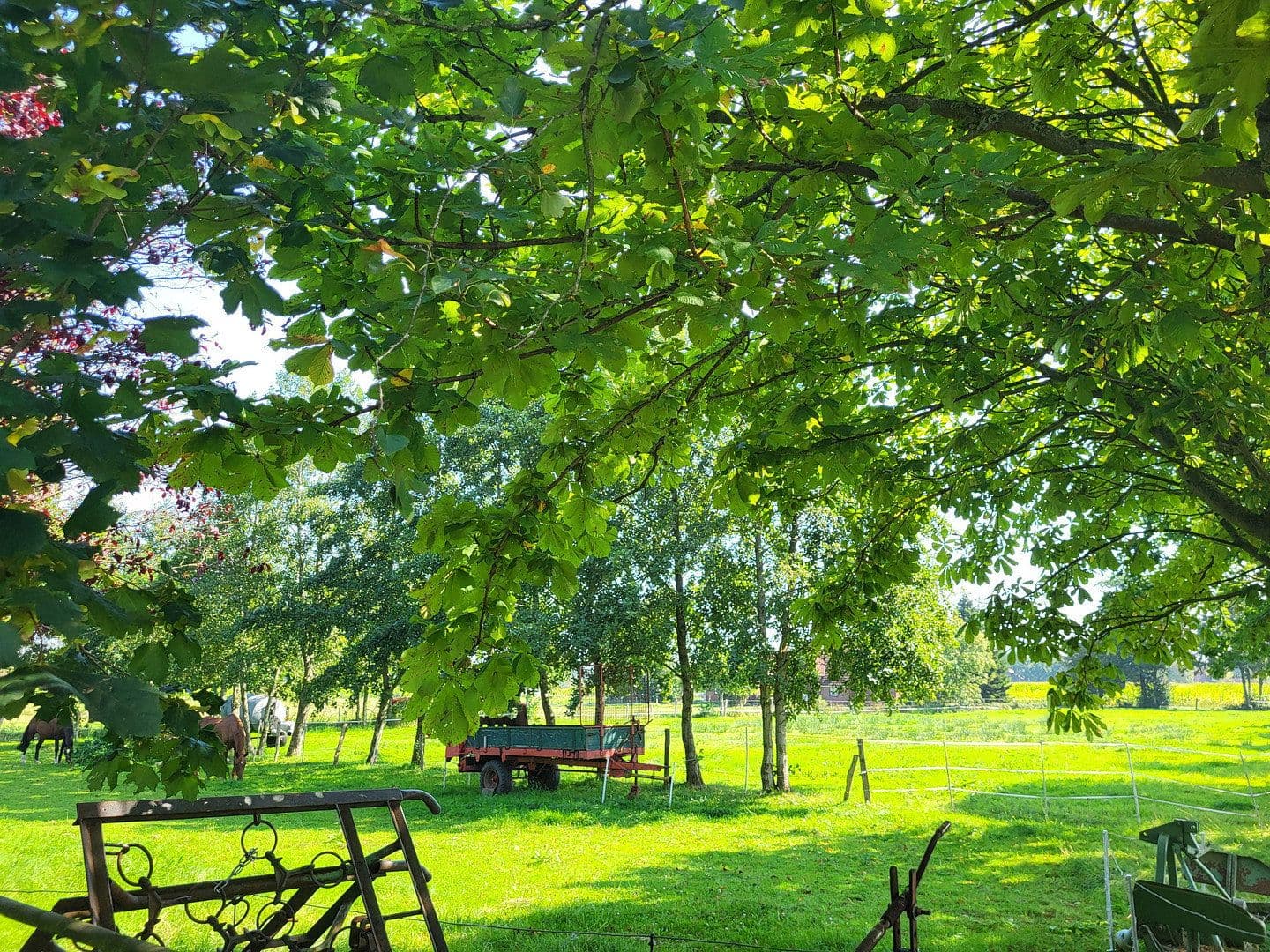 house for sale, 360 m², Halbemond, Lower Saxony house for sale, 360 m², Halbemond, Lower Saxony