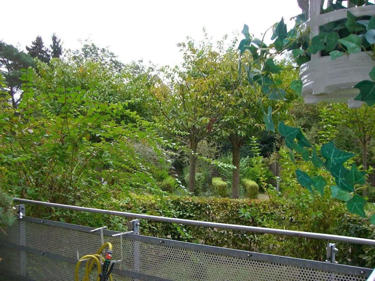 2 bedroom flat to rent, 71 m², Dorothenstrasse, Bad Homburg vor der Höhe, Hesse 2 bedroom flat to rent, 71 m², Dorothenstrasse, Bad Homburg vor der Höhe, Hesse